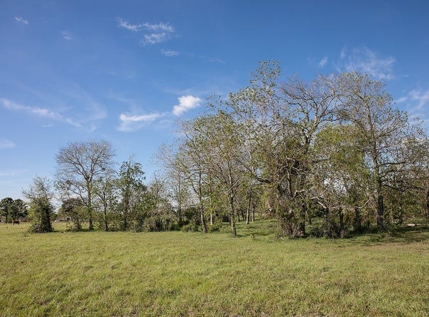 TBD Trenckmann Road, Sealy, TX 77474