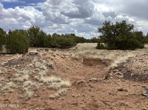207 ACR 8056 Road, Concho, AZ 85924