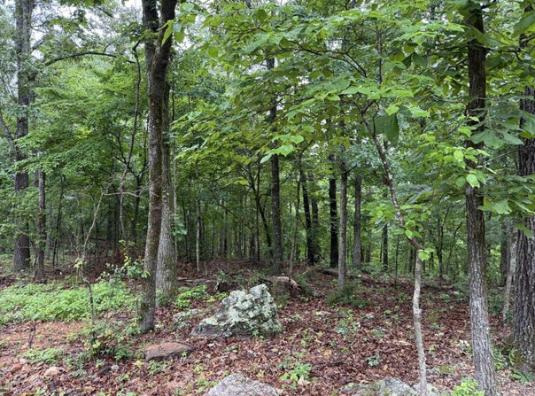 37 Tall Pine Circle, Norfork, AR 72658