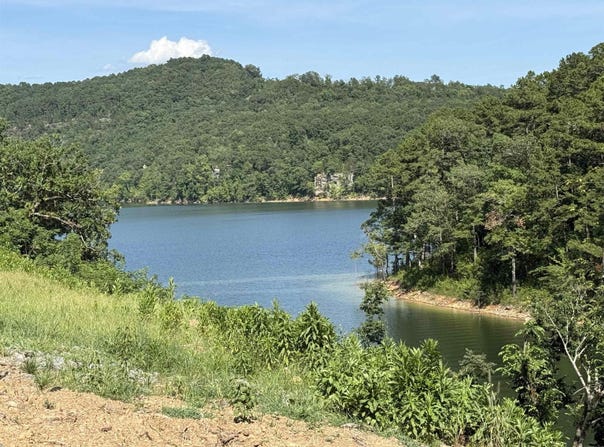 380 Lower Ridge Circle, Edgemont, AR 72044
