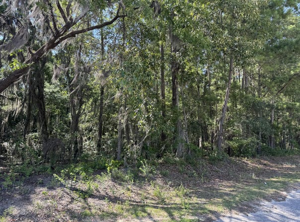Tract 2 Tabernacle Road, Eutawville, SC 29048