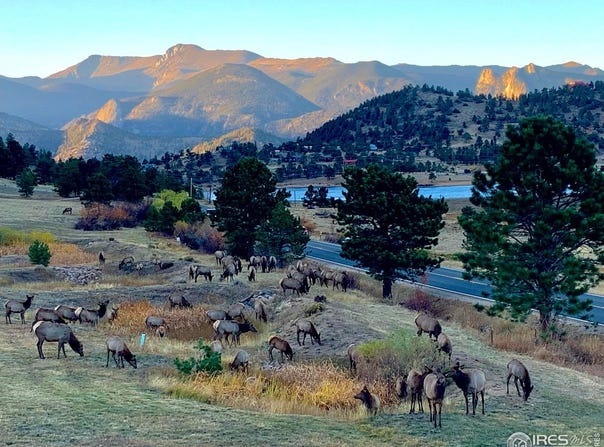 315 Kiowa Dr, Estes Park, CO 80517