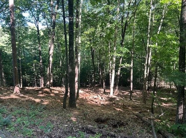 Lot 12a Oak Loop, Mineral Bluff, GA 30559