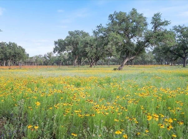 24900 Pedernales Canyon TRL, Spicewood, TX 78669