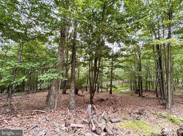 522 CLINTON DRIVE, BAKER, WV 26801