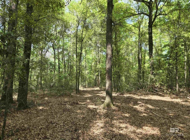 1131 Wolf Log Road, Flomaton, AL 36441