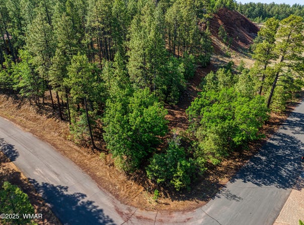 6281 Bent Oak Drive, Pinetop, AZ 85935