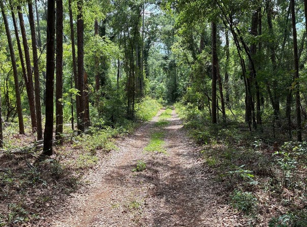 LOT66 PEACOCK HIDEAWAY, Live Oak, FL 32060