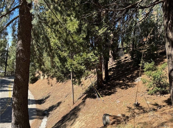 0 North Road, Twin Peaks, CA 92391