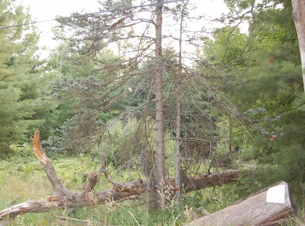 LOT 9 Dorothy Drive, Prescott, MI 48756