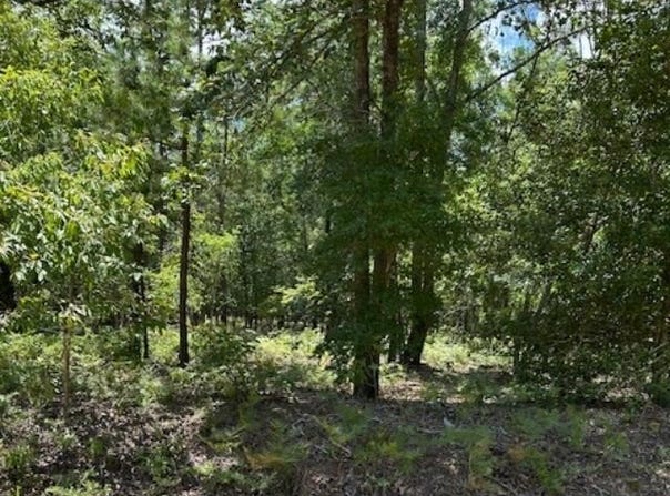 Tbd Watermelon Lane, Barnwell, SC 29812
