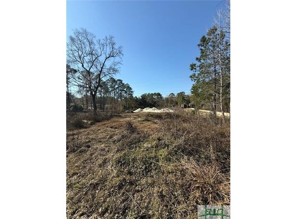 145 Middle Landing Road, Bloomingdale, GA 31302