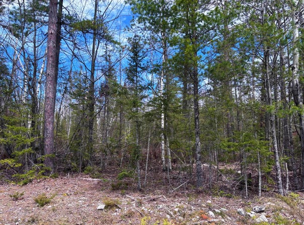 Kauffman Road lot: 241, Presque Isle, MI 49777
