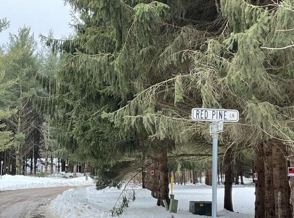 Red Pine Lane lot: 1, Croswell, MI 48422