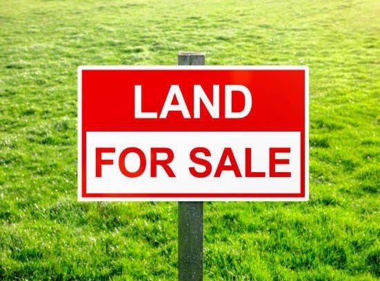 Mountain, Sheppton, PA 18248