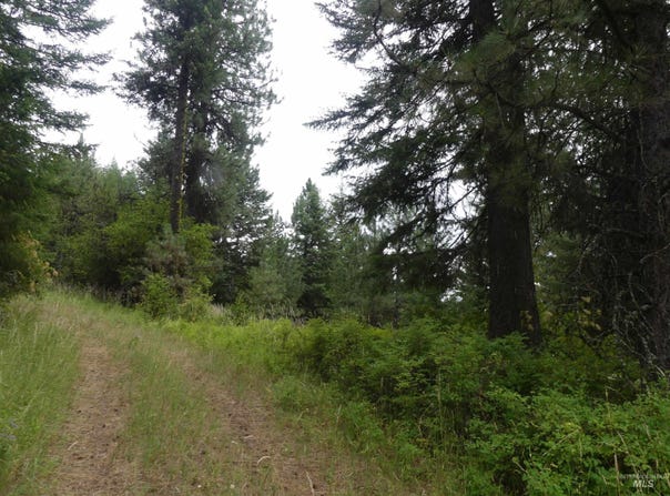 506 Devils Elbow Drive, Lenore, ID 83541