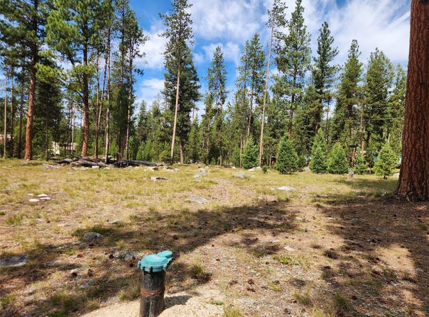 140 Autumn Court, Sula, MT 59871