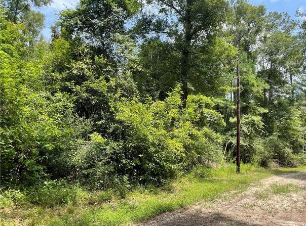 8.73 Acres WONIE COUSIN Road, Lacombe, LA 70445