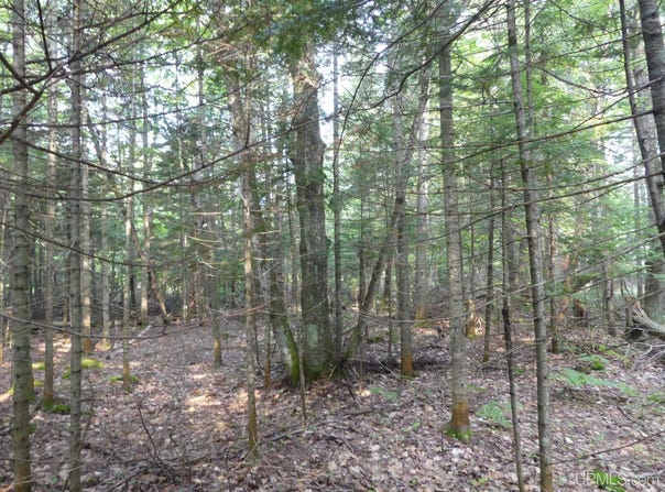 000 E Cemetery, Grand Marais, MI 49839