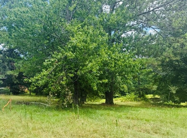 3283 Bogan Road, Buford, GA 30519
