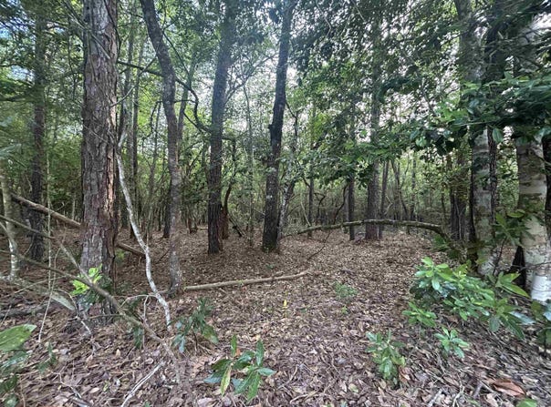 Lot 8 & 9 E WILDWOOD DR, Village Mills, TX 77663