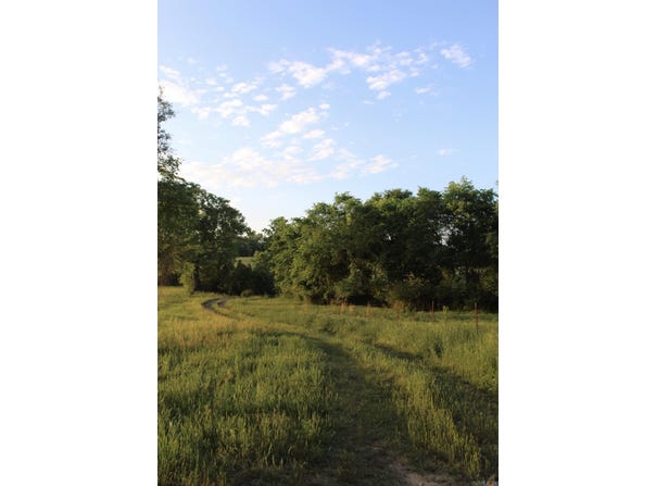 299 Harmony Lane, Amity, AR 71921