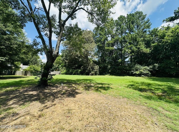 00 Joey Street, Brownsville, TN 38012
