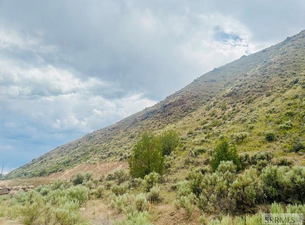 Tbd Diamond Creek Road, Salmon, ID 83467