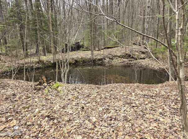 Magee Road, Stamford, VT 05352