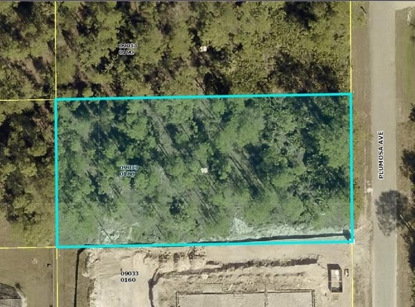 1011 PLUMOSA AVENUE, LEHIGH ACRES, FL 33972