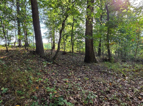 PARSONAGE Lane, NEW WINDSOR, MD 21776