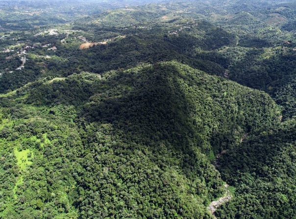 Finca Collores, Barrio Mameyes Abajo, Utuado, 00650