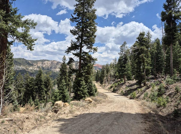 Bonnie Green DR, Duck Creek, UT 84762