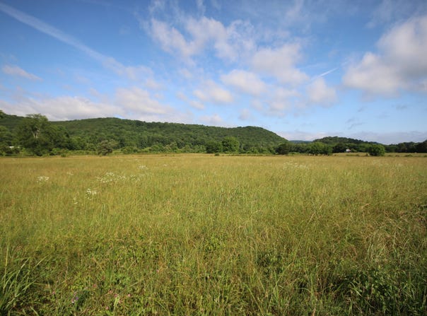 110 Acres Bivens Rd., Tellico Plains, TN 37385