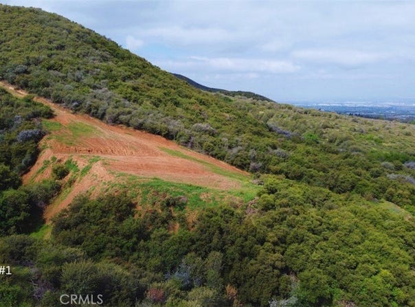 1 Plummers Lane, Mentone, CA 92359