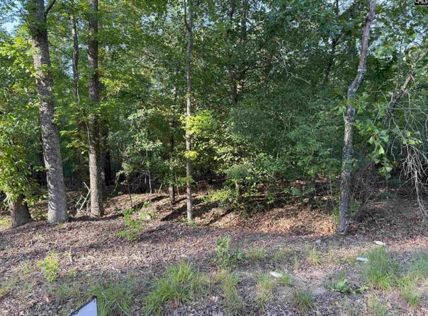 229 Governor Heyward Road, Eastover, SC 29044