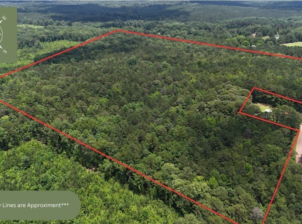 1425 Booger Hollow Road, Dadeville, AL 36853