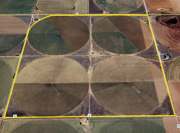 Friona, TX 79035