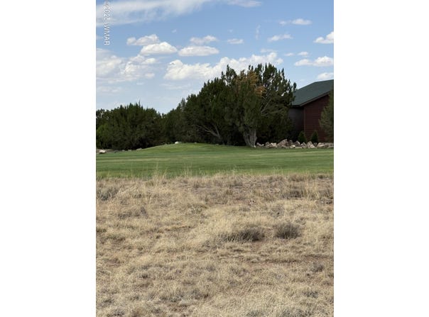 8384 Lake View Drive, Show Low, AZ 85901