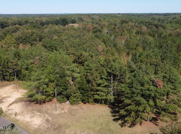Jeffries Road lot: 8, Potts Camp, MS 38659