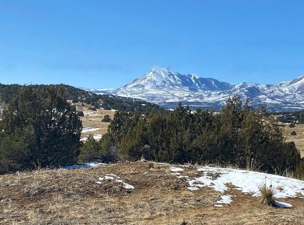 Walsenburg, CO 81089