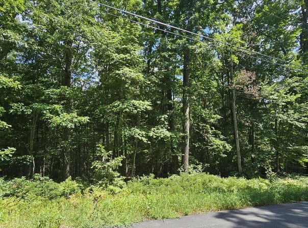 Lot 23.23 Perry Pond Road, Narrowsburg, NY, NY 12764