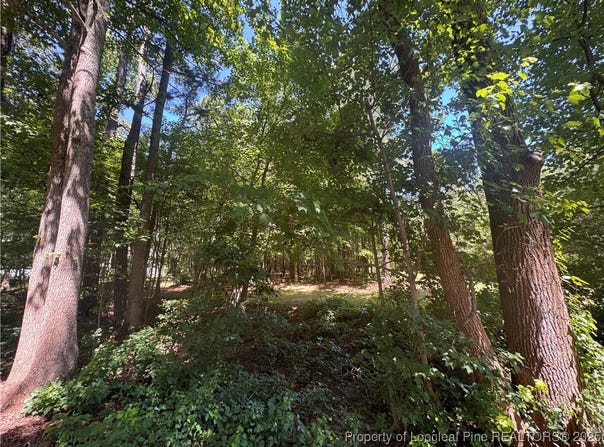 Center Church Road, Sanford, NC 27330