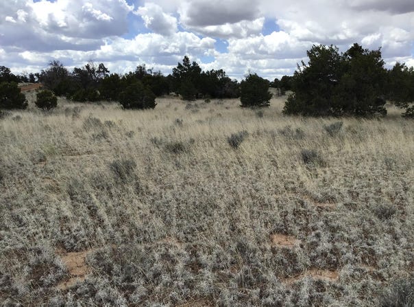 Country Lane lot: 38-39, Ramah, NM 87321