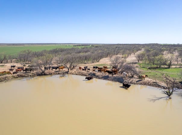 Cr 300, Coleman, TX 76834