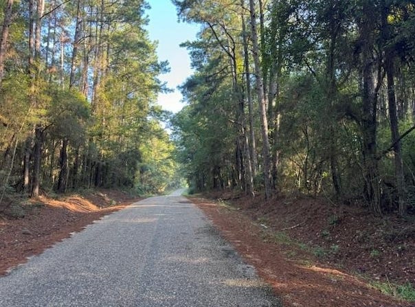 Cemetery Road, Tylertown, MS 39667