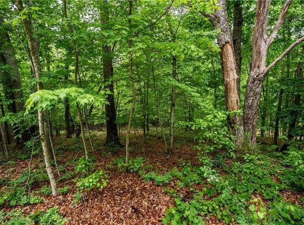 3843 Skyline Drive, Gainesville, GA 30501