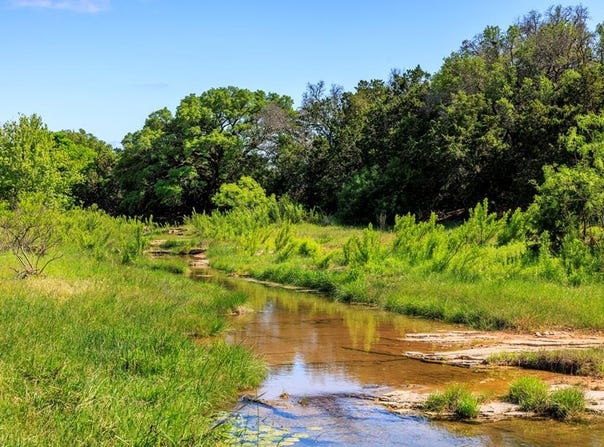 2195 Langes Mill Rd, Doss, TX 78618