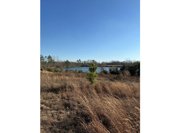 Green Oak Rd, Lyons, GA 30474