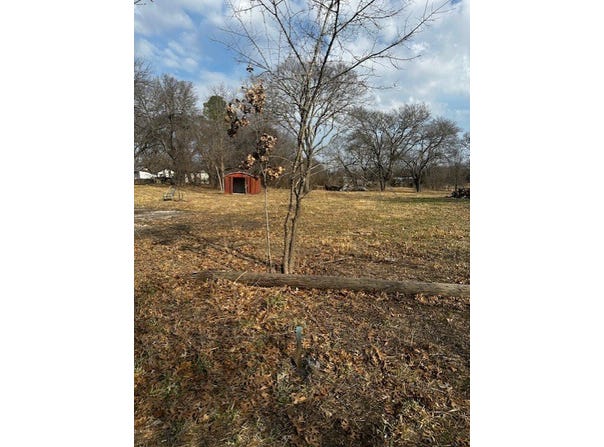 312 E Ford Street, Bells, TX 75414